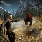the witcher 3 concours screen 6