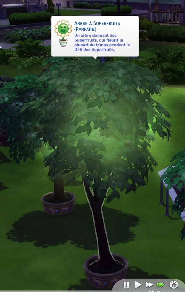 Les Sims 4 Arbre à superfruit parfait
