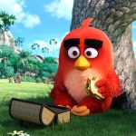 Le niveau technique de cet Angry Birds force le respect par son niveau de détail et son animation hors norme