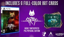 stray collector playstation 5