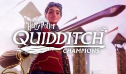 harry potter champions de quidditch