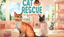 cat rescue story