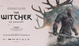 the witcher en concert