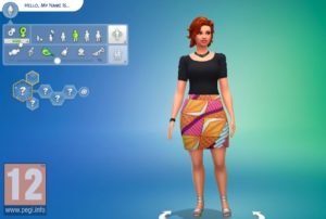 les sims 4 pronoms personnalisables