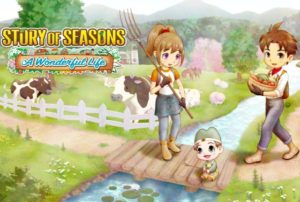 story of seasons a wonderful life
