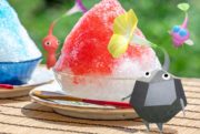 pikmin bloom glace pilée